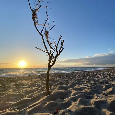 Vakantiehuis Reetdachhaus Ankerplatz