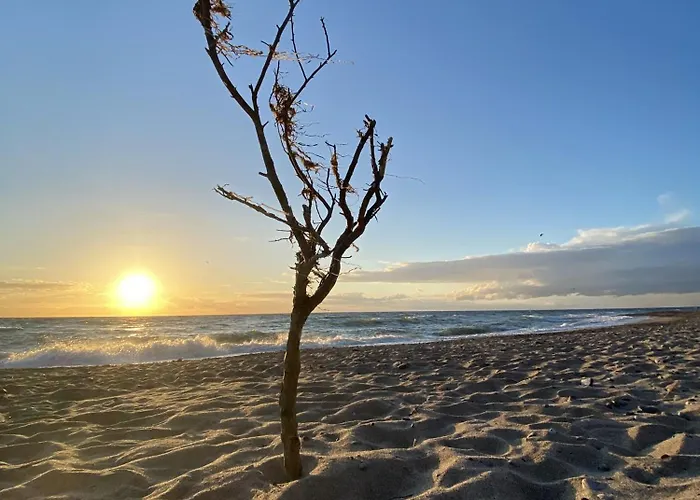 Casa vacanze Reetdachhaus Ankerplatz
